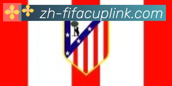 FIFA世界杯资讯官方网站合作伙伴